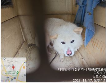 대전동물보호센터_430367202300705